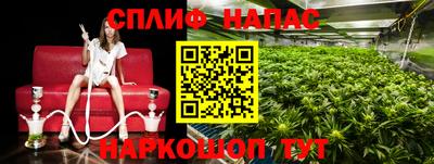 сатива Владимир