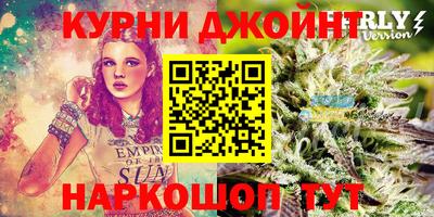 прущие грибы Владивосток