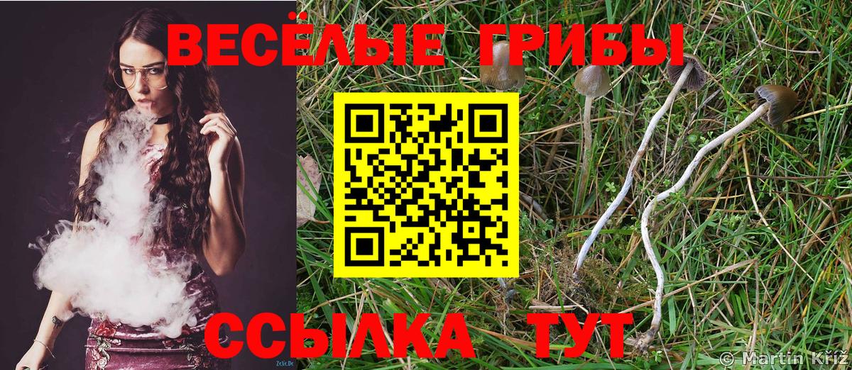 Псилоцибиновые грибы Psilocybine cubensis  Вход с VPN  Воркута  Галлюциногенные грибы GOLDEN TEACHER 
