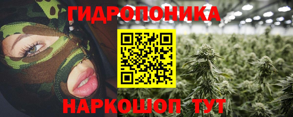 Конопля Amnesia  Вход с VPN  Воркута  Шишки марихуана сатива 